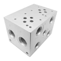 Manifold for D03P2-08S